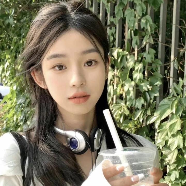 借口公司2