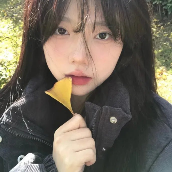 纯情拳击手